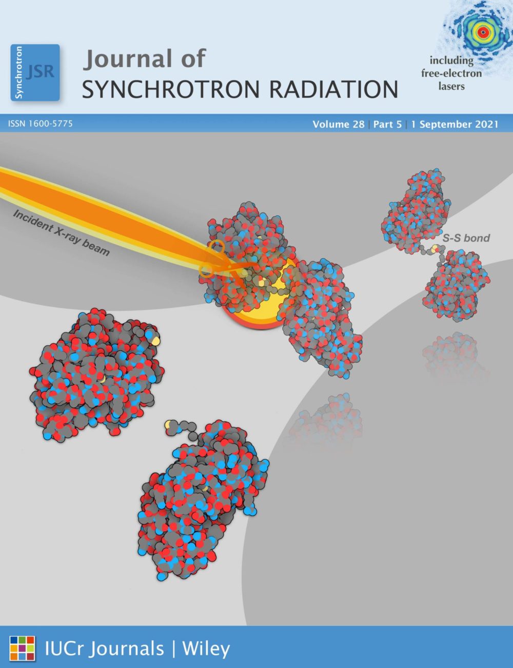 Studying radiation damage in biological systems – New tools and new knowledge